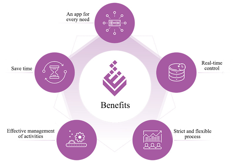 Reasons businesses should choose ERPViet
